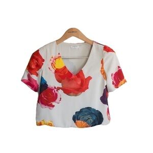 Babaton Aritzia Womens Size Small Randy Blouse Multicolor Floral Cropped V-Neck